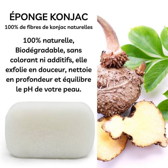 Sun&Sia - Éponge Konjac XL 100% Naturelle – Nettoie en Profondeur et en Douceur - Soin et Routine Beauté Naturel-Tous Types de Peau - Image 1