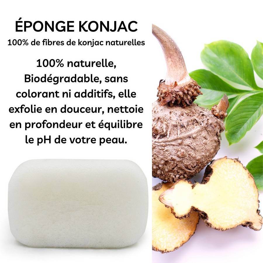 Sun&Sia - Éponge Konjac XL 100% Naturelle – Nettoie en Profondeur et en Douceur - Soin et Routine Beauté Naturel-Tous Types de Peau