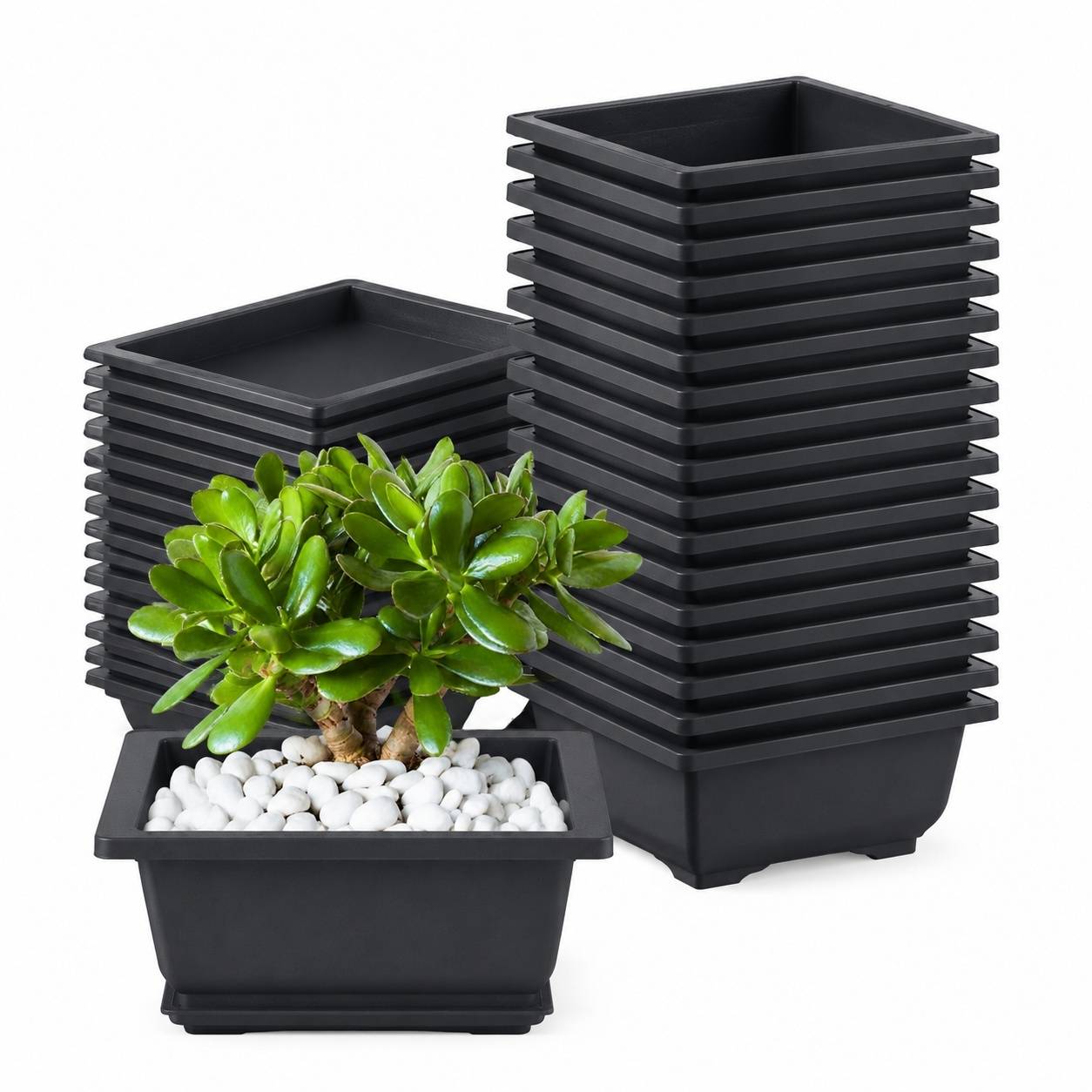 Lot de 20 Pots à Bonsaï en Plastique avec Soucoupes pour Intérieur Extérieur - Image 1