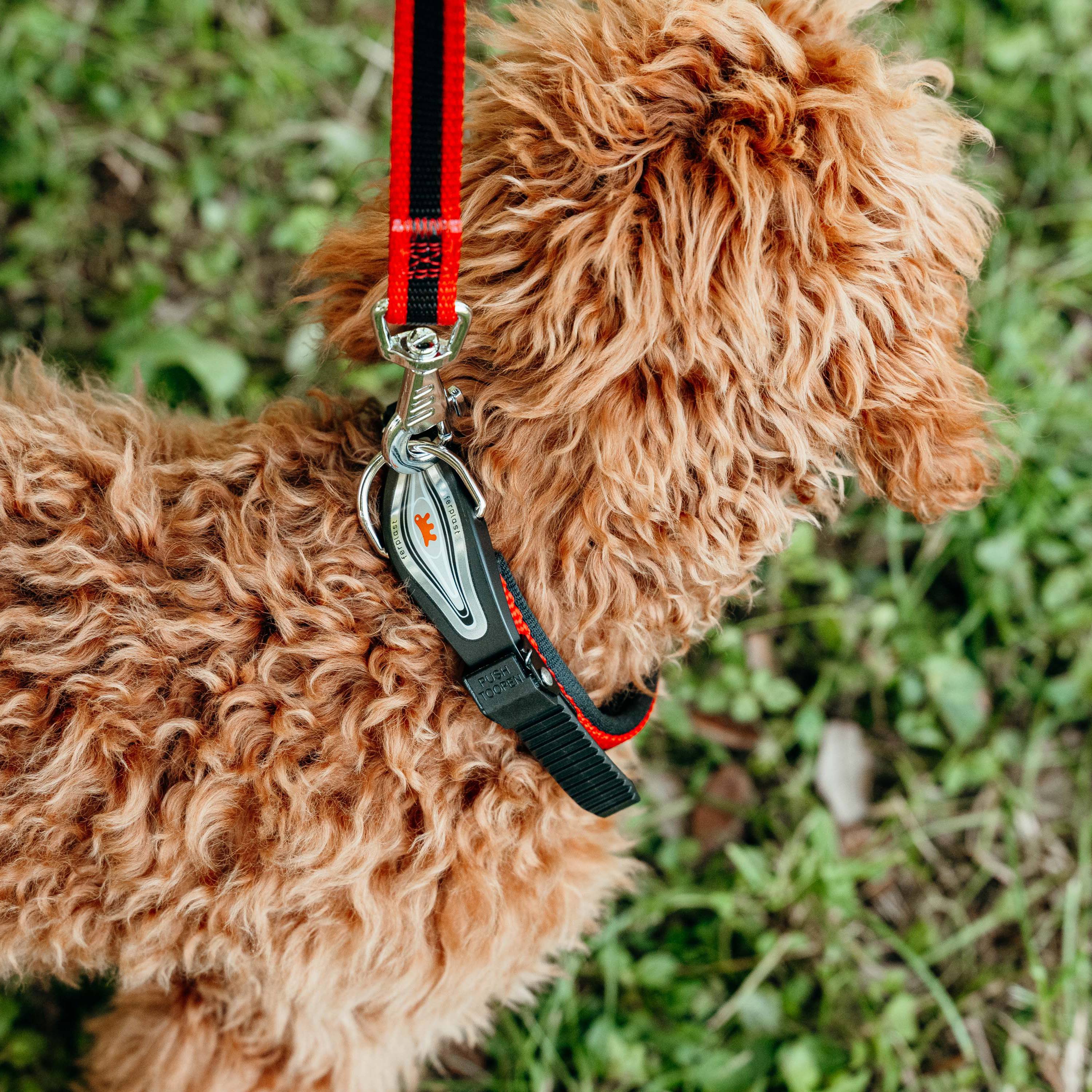 Ferplast - Ferplast Collier Chien ERGOCOMFORT C15/33, collier pour chiens de petite taille, fermeture avec micro-ajustement, rembourrage doux, dégagement rapide, - Image 4