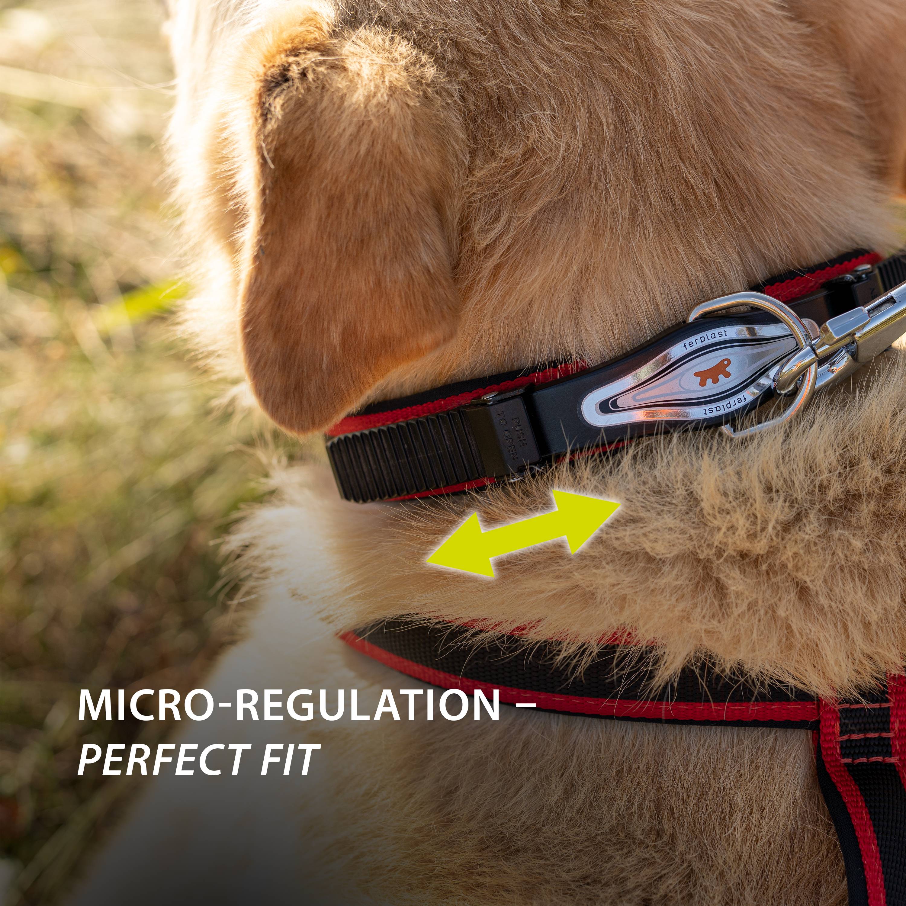 Ferplast - Ferplast Collier Chien ERGOCOMFORT C15/33, collier pour chiens de petite taille, fermeture avec micro-ajustement, rembourrage doux, dégagement rapide, - Image 6