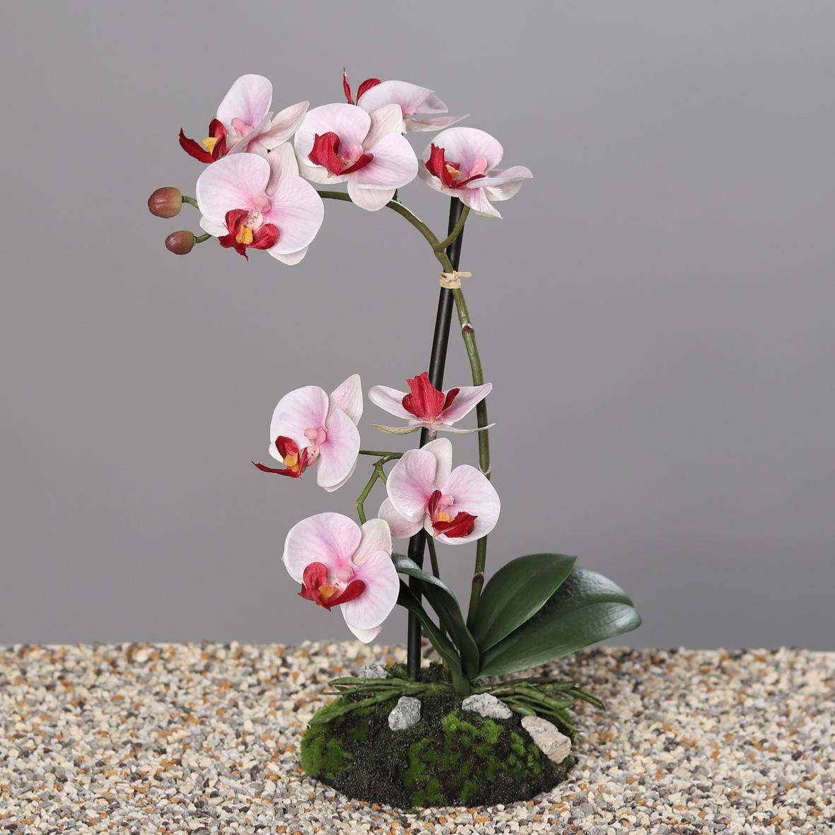 Artificielles - Orchidee factice 2 hampes sur motte H33cm 9 fleurons tissu Rose-crème - couleur: Rose-crème - Image 2