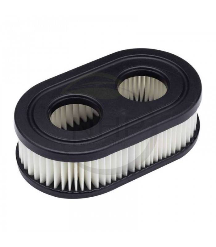 Briggs & Stratton - Filtre à air adaptable  moteur Briggs & Stratton 798452 / 593260 Moteurs 550E, 575EX, 550EX, ECO PLUS