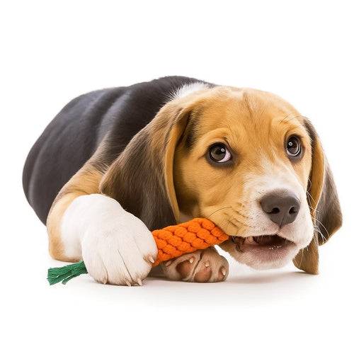 ensemble objet à mâcher pour chien, remorqueur -  25384 - Image 9