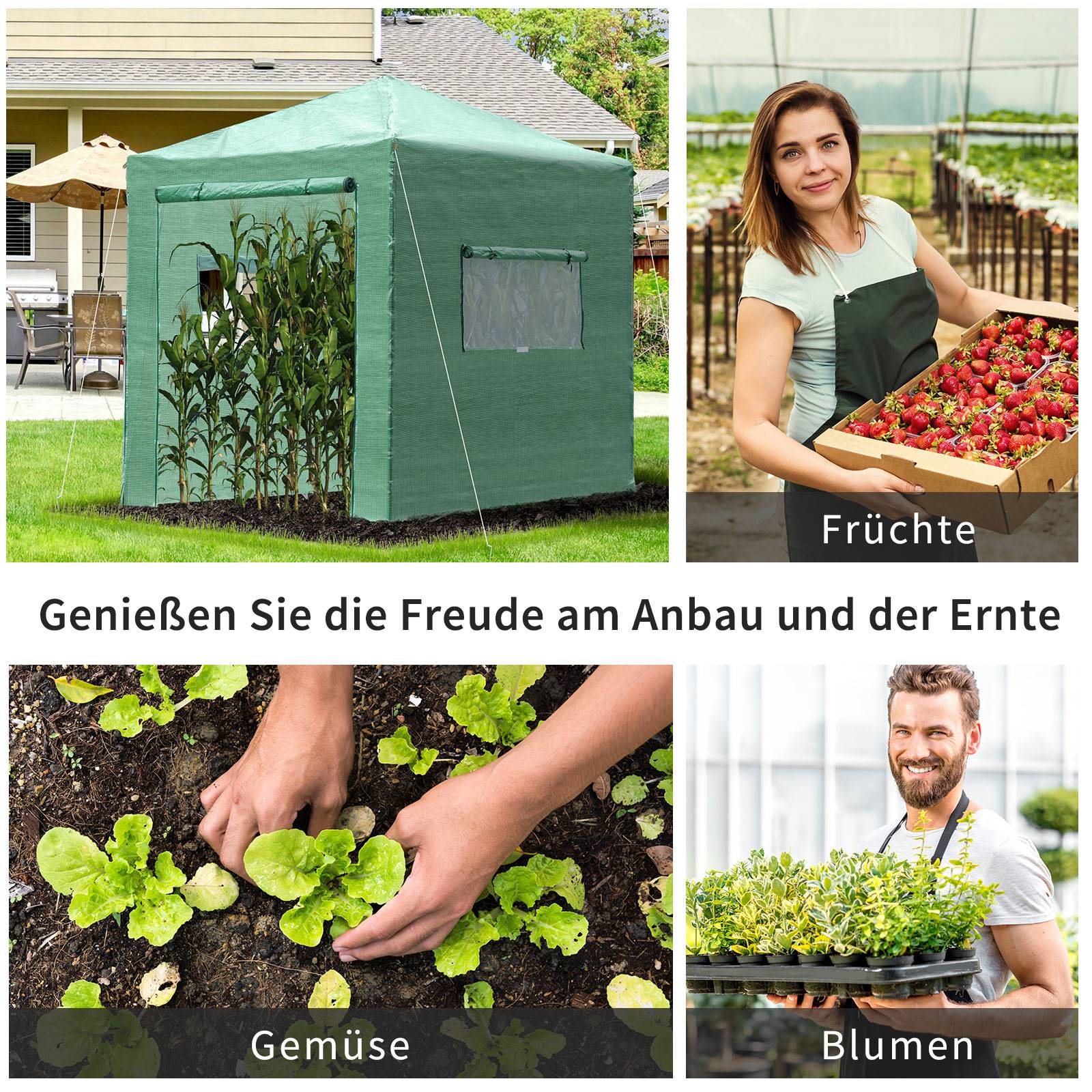 ComfortXL - Serre de jardin acier PE pour tomates protection plantes porte enroulable 238x178x240cm vert - ComfortXL Outdoor Living - Image 10