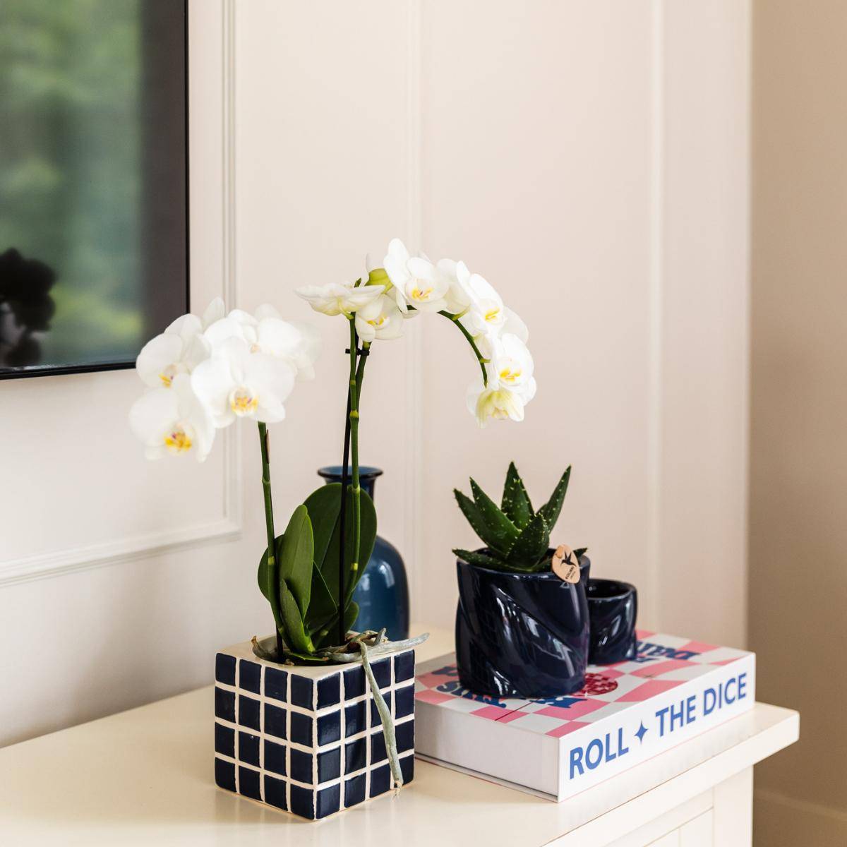 La Green Touch - Orchidée Amabilis Blanche et son pot- La Green Touch Bleu mosaique - Hauteur 35cm - Image 3