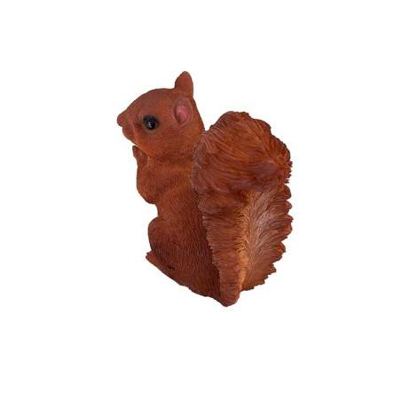 Riviera - Ecureuil noisette - Image 2