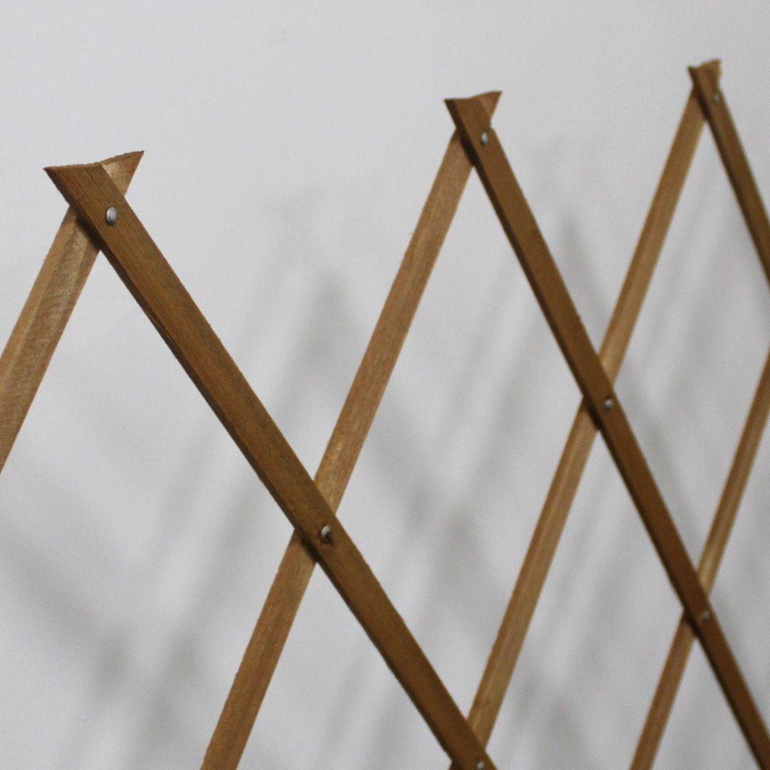 Treillis Bois| 100% Bois Pin Naturelle| 1X2M| Gardien Des Plantes| Résistant| Decoration Jardin - Image 6