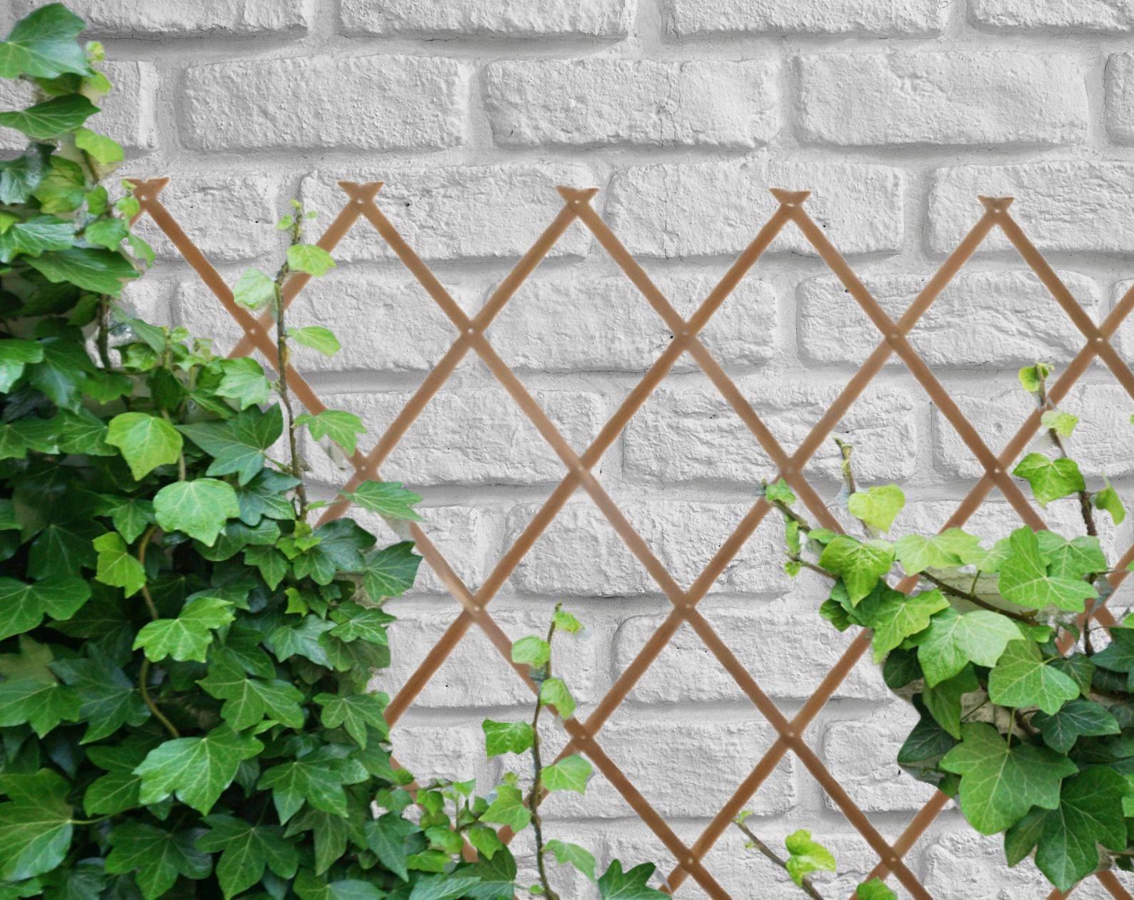 Treillis Bois| 100% Bois Pin Naturelle| 1X2M| Gardien Des Plantes| Résistant| Decoration Jardin - Image 9