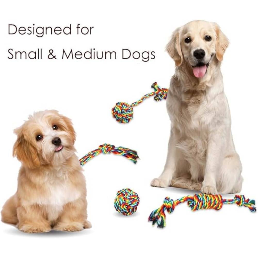 DtopbuyAge - 4 Pièces Jouets Interactifs Corde Pour Petits/Moyens Chiens - Image 5