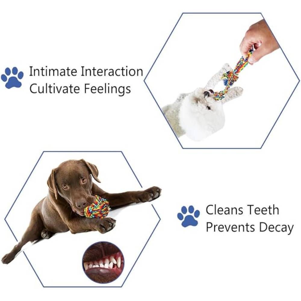 DtopbuyAge - 4 Pièces Jouets Interactifs Corde Pour Petits/Moyens Chiens - Image 3