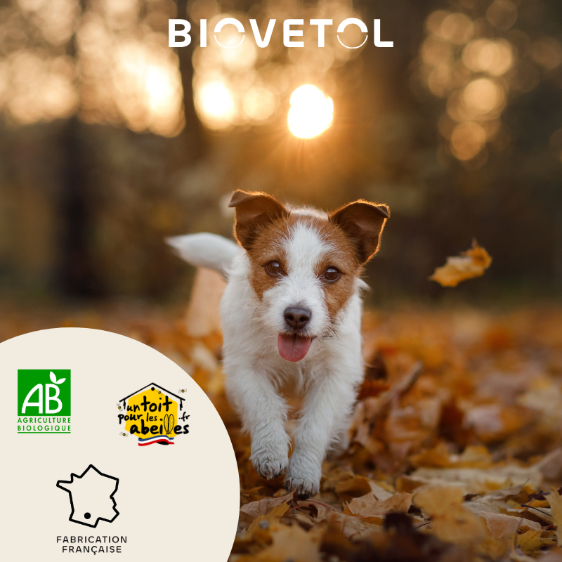 Biovetol - Comprimés Bio Bien-être Intestinal pour Petit Chien & Chiot - Image 2