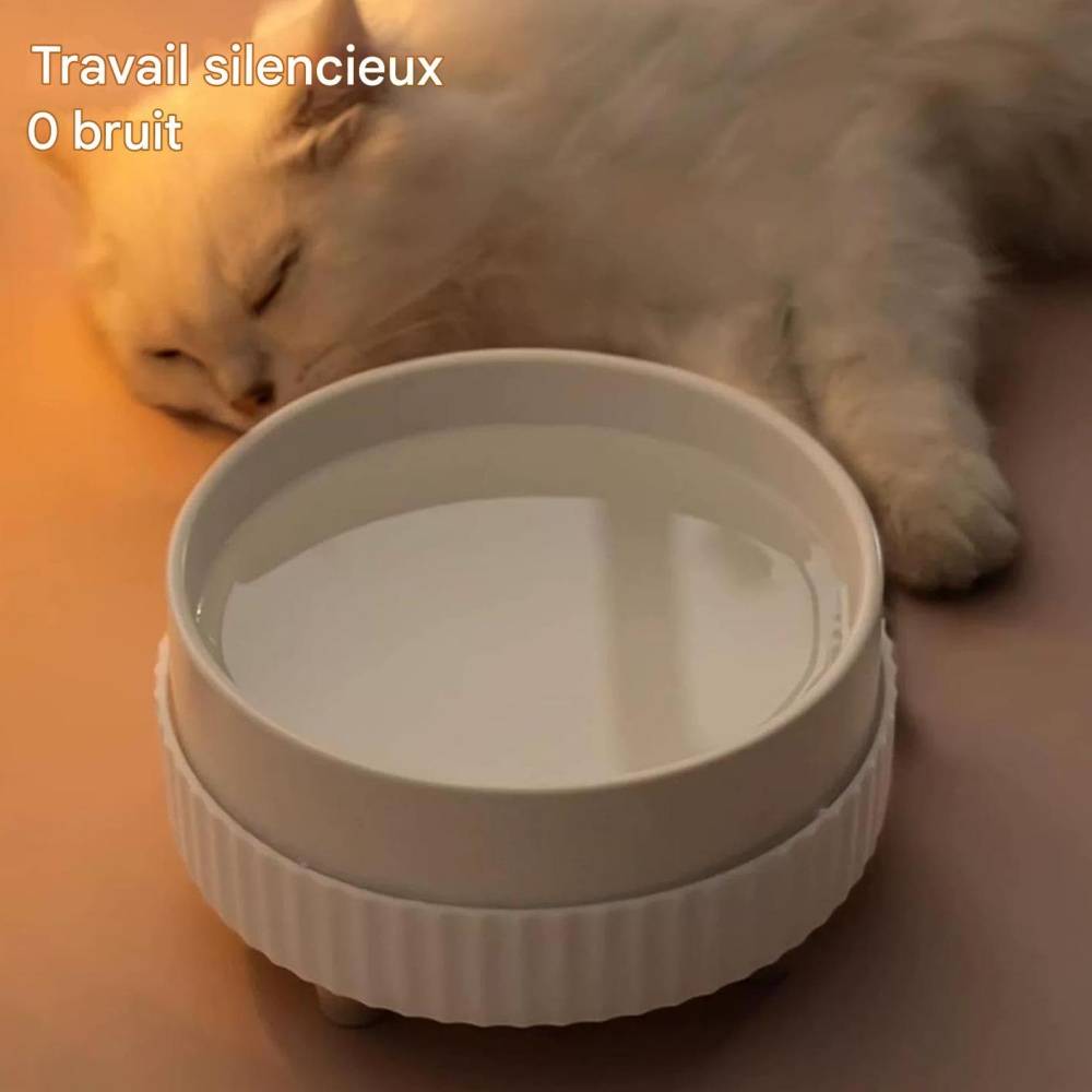 Gamelle en Céramique pour Chats Intérieurs ou Extérieurs Verte - Lytech - Image 3