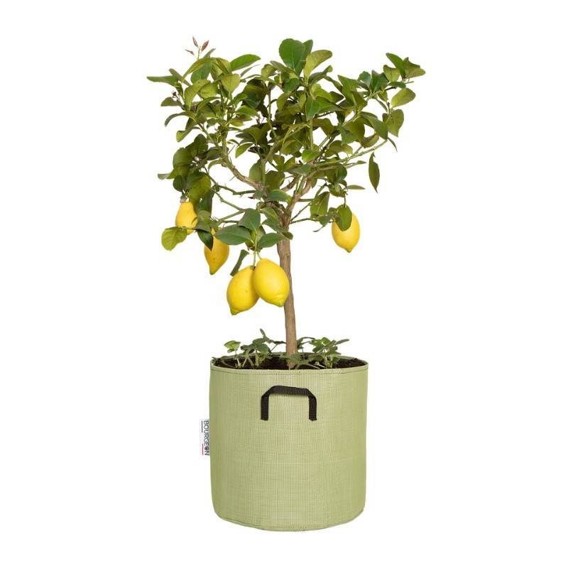 Bourgeon - Pot de plantation respirant 30 cm Vert - Bourgeon - Image 1