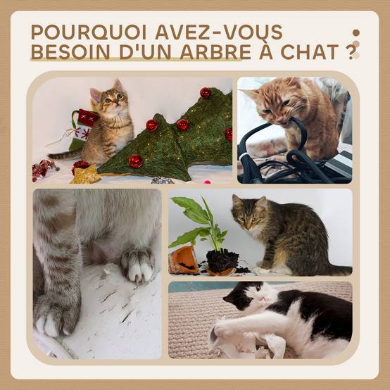 Arbre à chat sisal et peluche gris 50 x 30 x 81.5 cm - PANGIVO - Image 9
