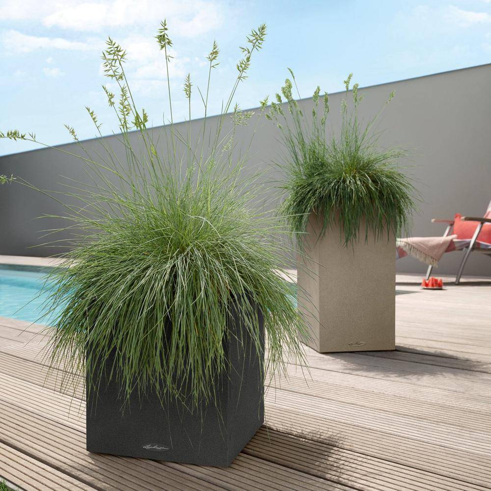 Lechuza - Pot Canto Color 30, noir graphite 3 L 30 cm Lechuza - Image 3