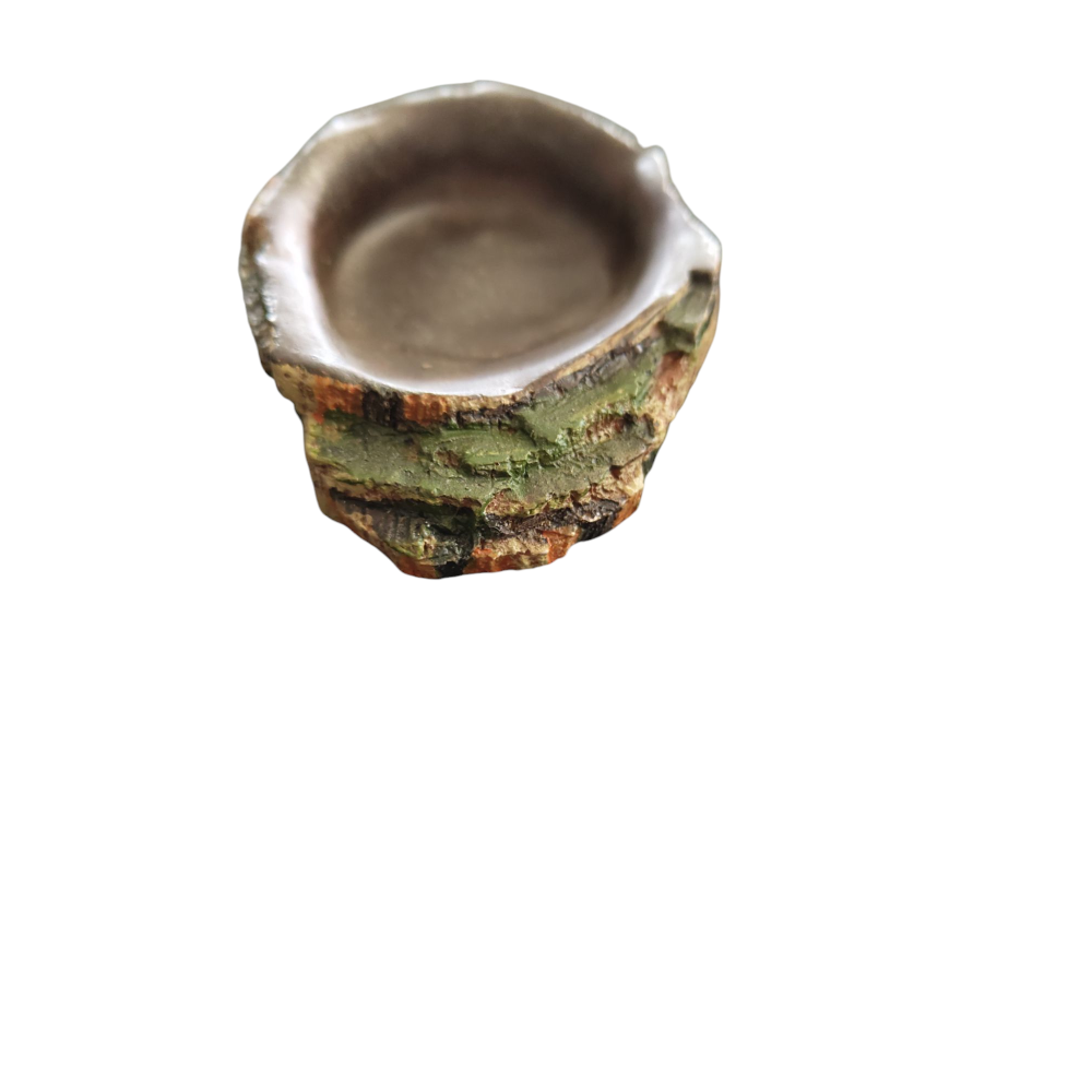 Trixie - Ecuelle pour eau et nourriture pour reptiles. 10  x 7.5 x 2.5cm - Image 5