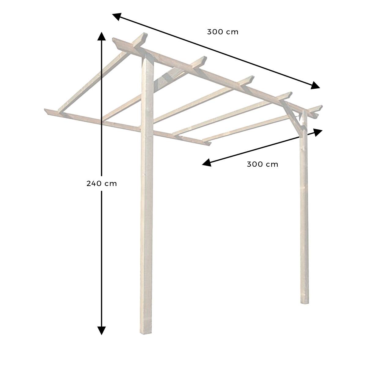 Pergola Clématite adossante - Cémonjardin - Image 4