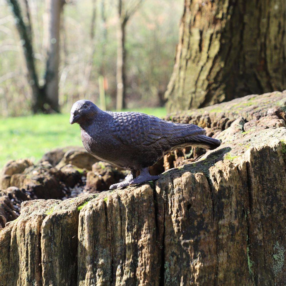 Pigeon en fonte marron 19 x 8 x 12 cm Chemin de campagne - Image 3