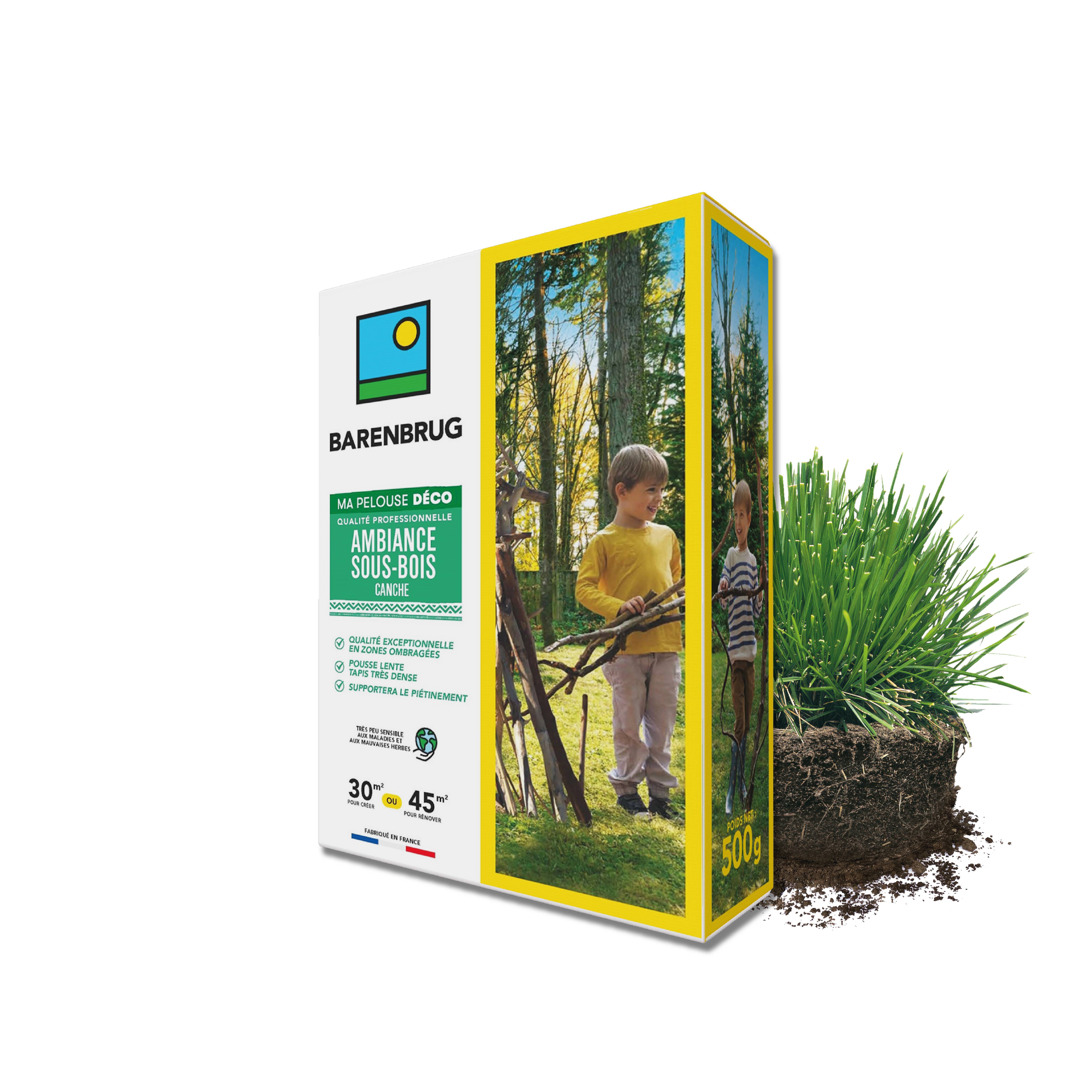 Barenbrug - Pelouse Ambiance Sous-bois - Canche - Spécial Zones Ombragées - Pousse Lente, Tapis Dense - Tolérant Piétinement - 500G - BARENBRUG - Image 1