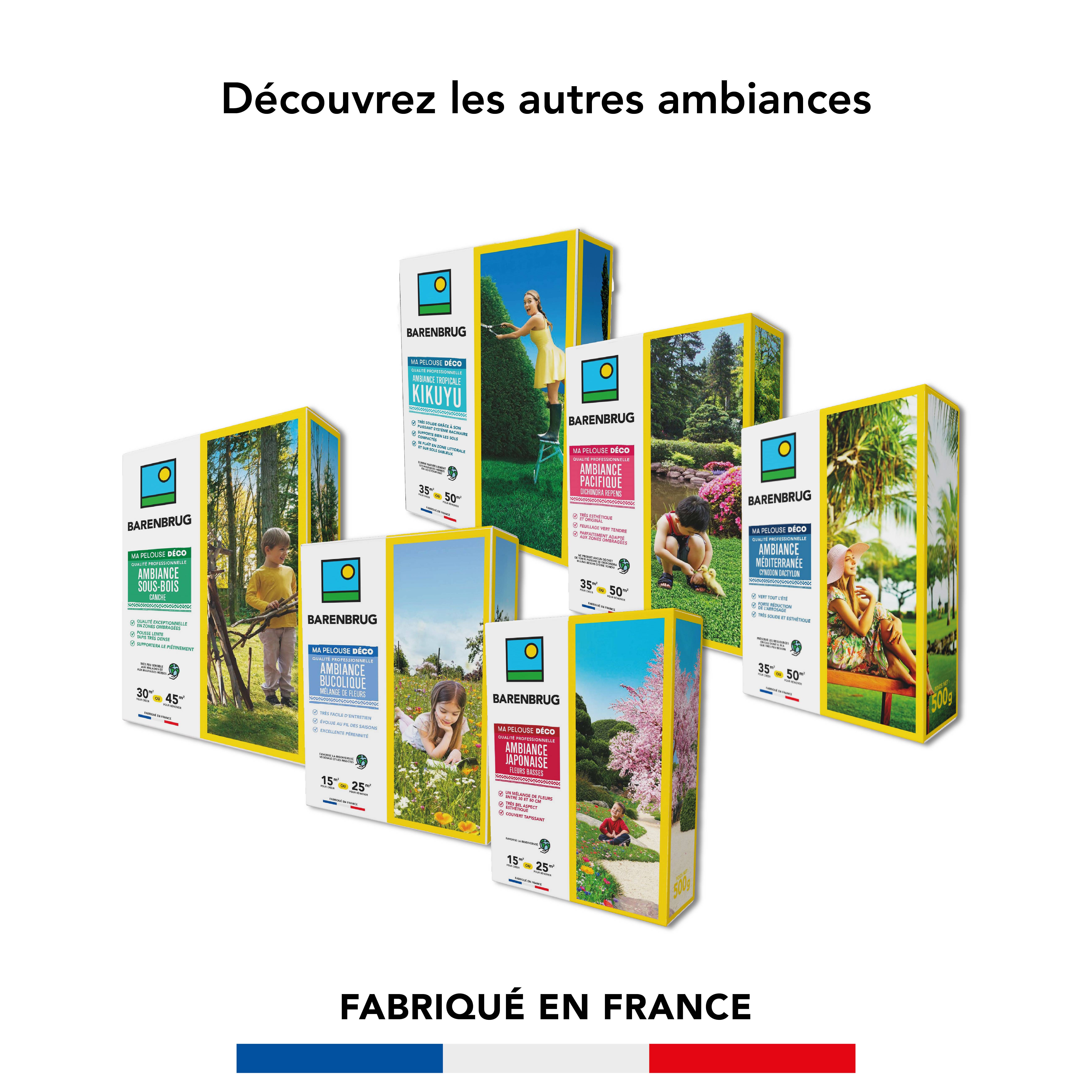 Barenbrug - Pelouse Ambiance Sous-bois - Canche - Spécial Zones Ombragées - Pousse Lente, Tapis Dense - Tolérant Piétinement - 500G - BARENBRUG - Image 5