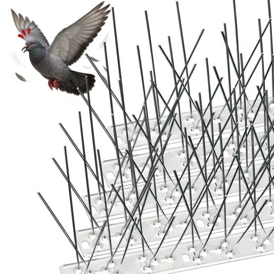 Pic Anti-Pigeon en Acier Inoxydable 7.5M Pack de 30 modules - Image 1