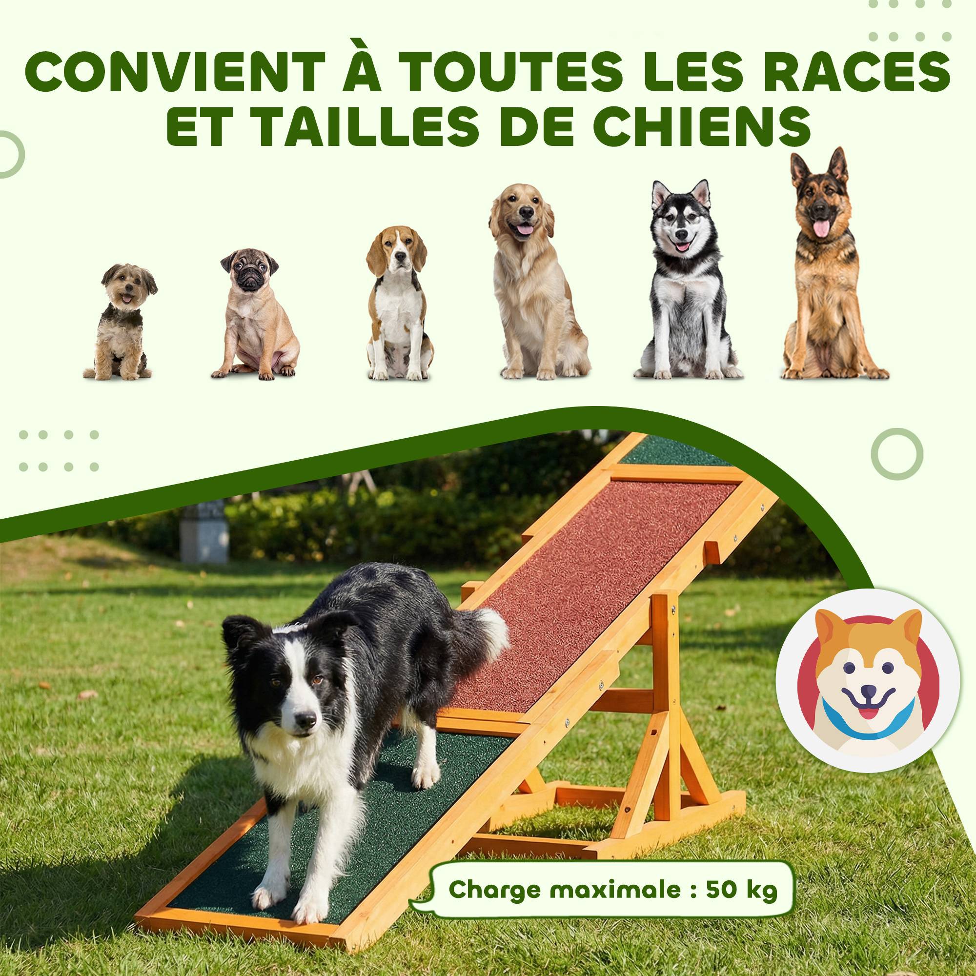 Agility sport pour chien bascule - bascule pour chien - équipement entrainement chien - bois pré-huilé feutre - Image 10