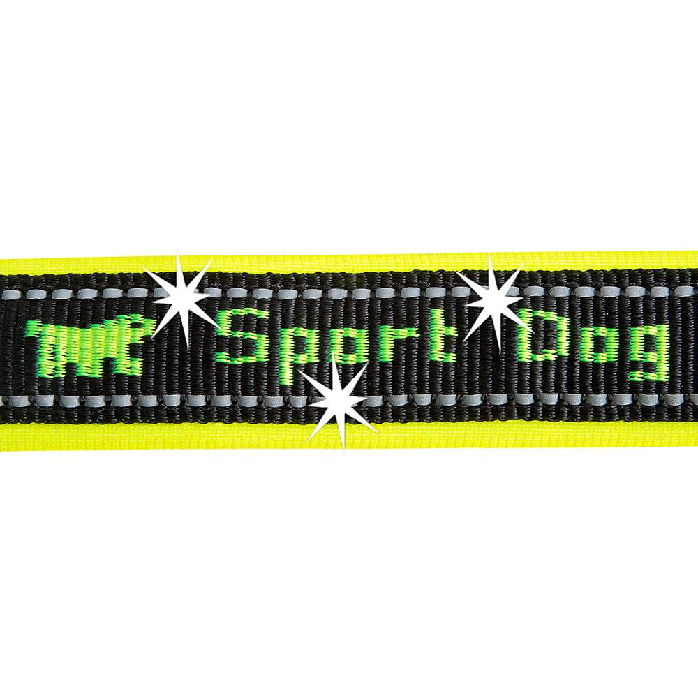 Ferplast - Ferplast Laisse chien SPORT DOG MATIC, Laisse pour chien taille moyenne, Mousqueton avec mécanisme magnétique, Poignée rembourrée, Coutures - Image 5