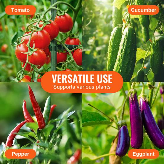 VEVOR Cages tomates jardin, lot 4, 160 cm, support treillis, plantes grimpantes. - Image 6