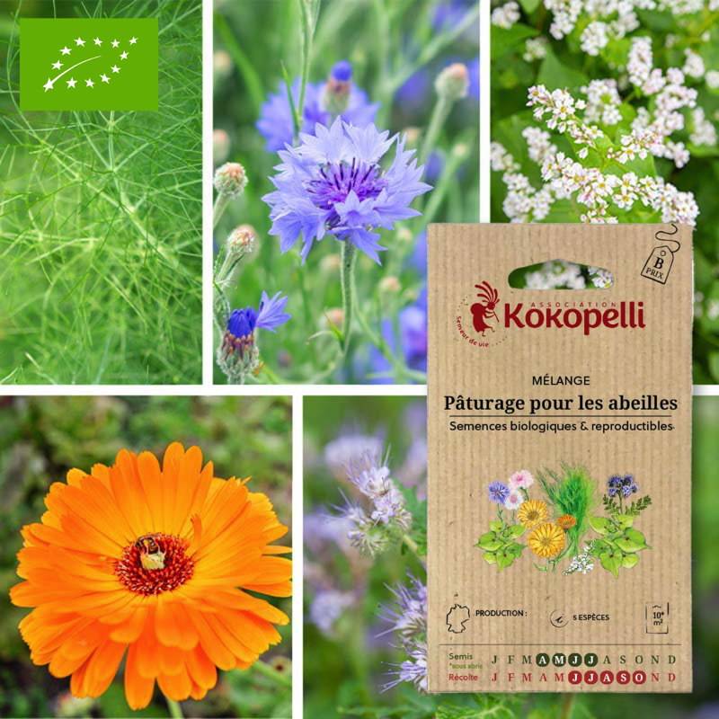 Graines bio à semer - Mélange Pâturage pour les abeilles- Association Kokopelli