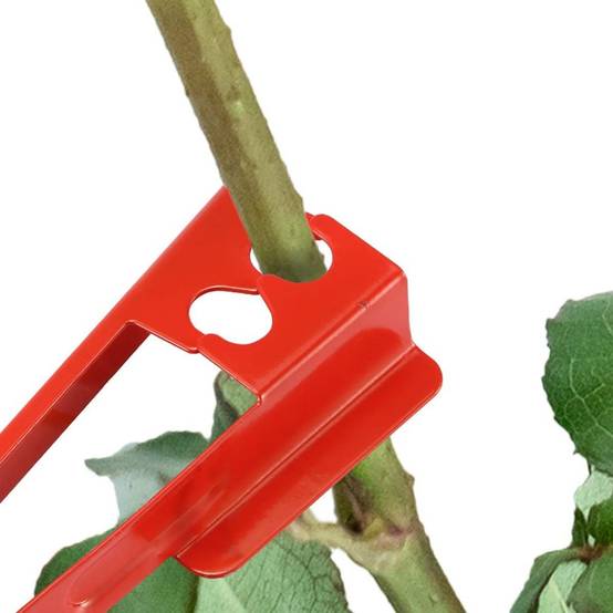 0 - Décapeur à épines pour roses - Outil métallique pro - Épingleur floral - Image 4