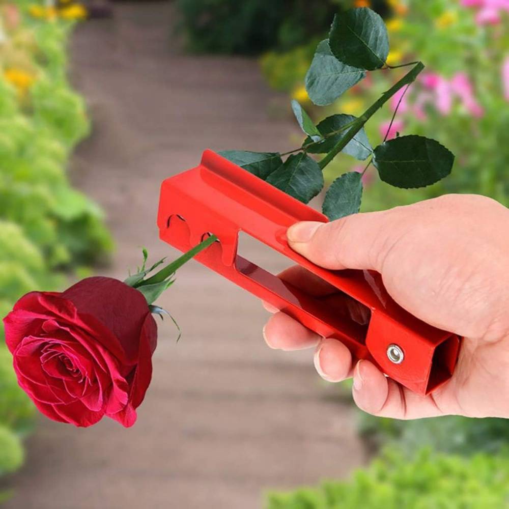 0 - Décapeur à épines pour roses - Outil métallique pro - Épingleur floral - Image 5