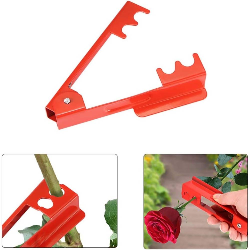 0 - Décapeur à épines pour roses - Outil métallique pro - Épingleur floral - Image 3