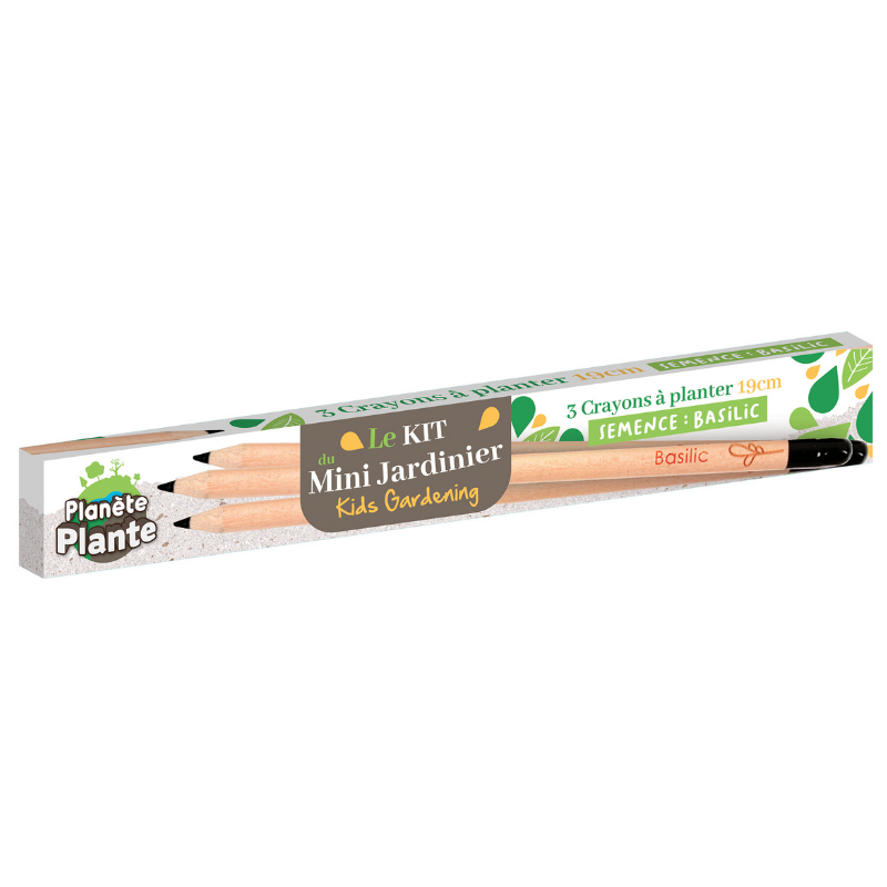 Mgm - Lot 3 crayons aromatiques à planter Enfant - Mgm - Image 2