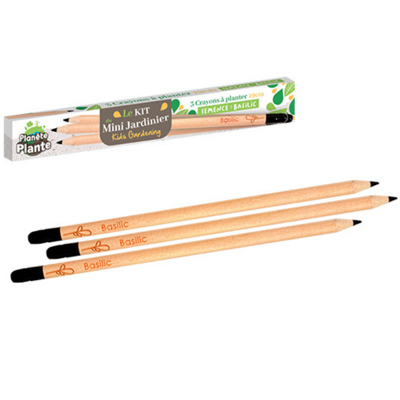 Mgm - Lot 3 crayons aromatiques à planter Enfant - Mgm - Image 1