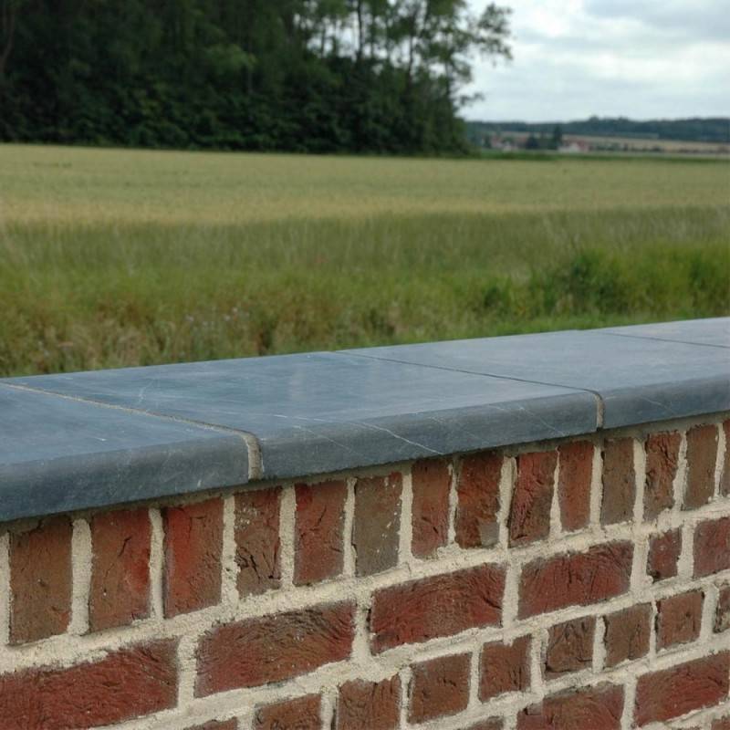 Jardinex - Couvre mur plat pierre bleue 50 x 28 x 4 cm - Gris bleu (Lot de 1) - Jardinex - Image 2