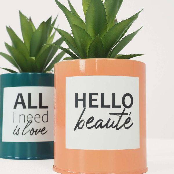 Ligne Deco - Succulentes artificielles dans pots à message 17 cm (Lot de 2) Ligne Deco - Image 3