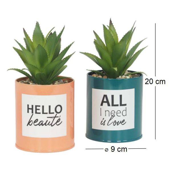 Ligne Deco - Succulentes artificielles dans pots à message 17 cm (Lot de 2) Ligne Deco - Image 4