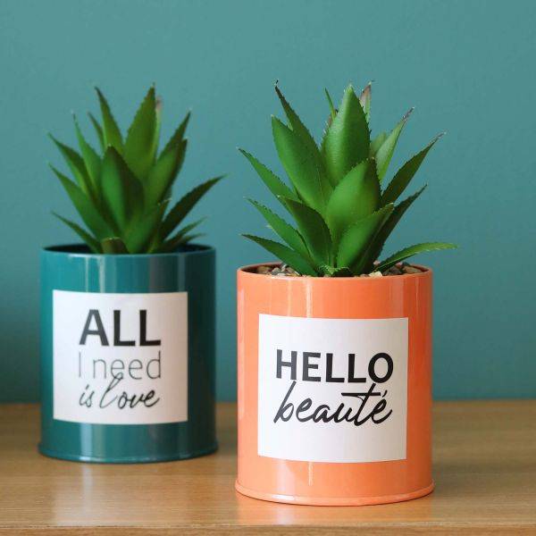 Ligne Deco - Succulentes artificielles dans pots à message 17 cm (Lot de 2) Ligne Deco - Image 2