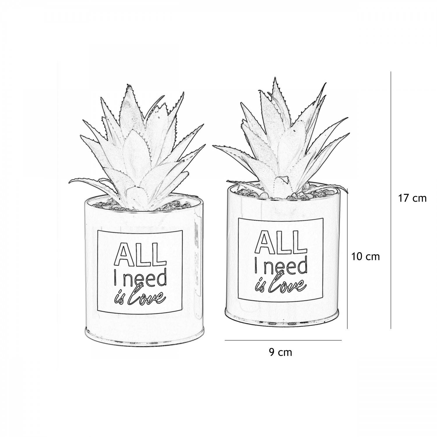 Ligne Deco - Succulentes artificielles dans pots à message 17 cm (Lot de 2) Ligne Deco - Image 5
