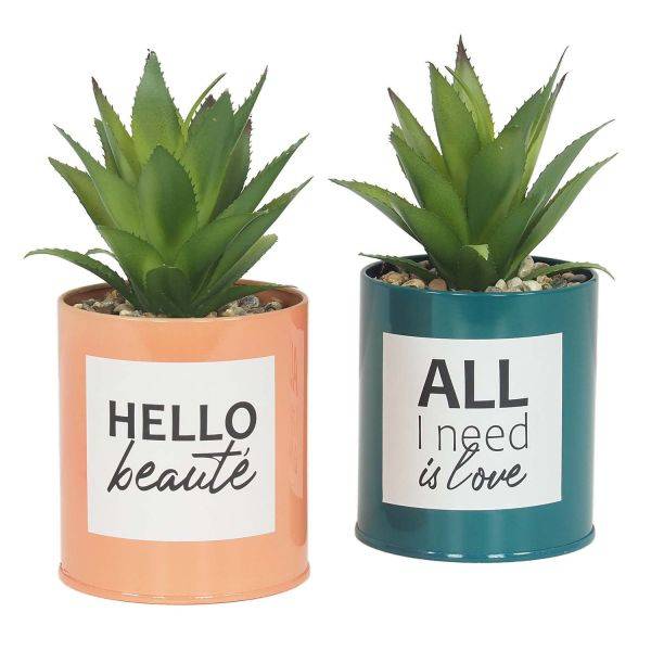 Ligne Deco - Succulentes artificielles dans pots à message 17 cm (Lot de 2) Ligne Deco - Image 1