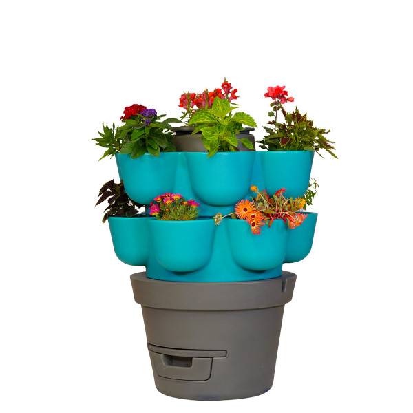 Ferme Du Moutta - WORMgarden Turquoise 2 jardinières - Image 1