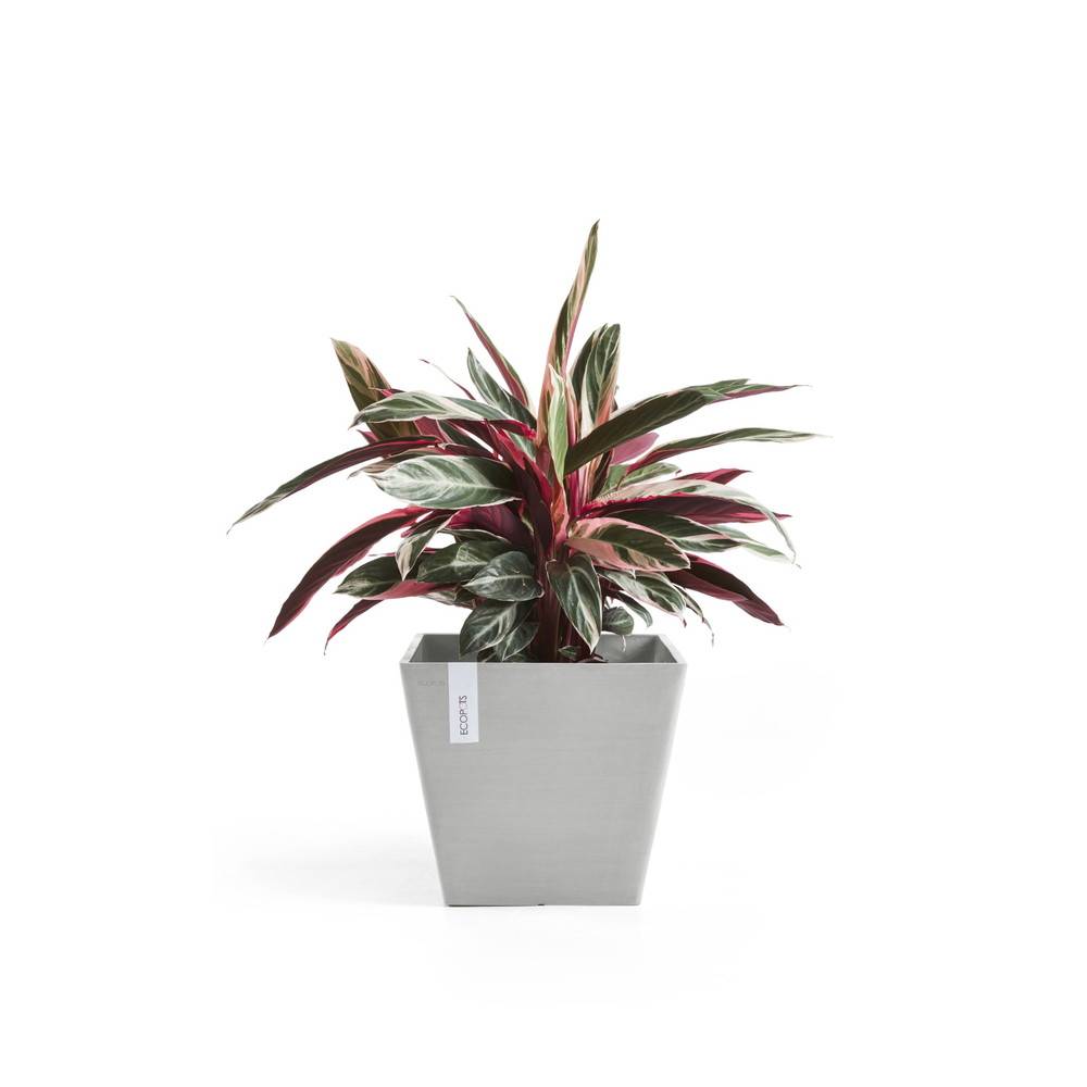 Ecopots - Pot Carré Rotterdam 30 Blanc Gris - 30 x 30 x H. 26 cm - 17 L ECOPOTS - Image 3