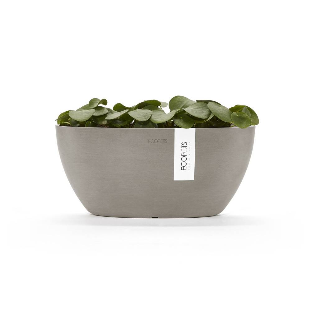 Ecopots - Pot Ovale Sofia 30 Taupe + réservoir d'eau - 30 x 13 x H. 13,5 cm - 2,7 L ECOPOTS - Image 3