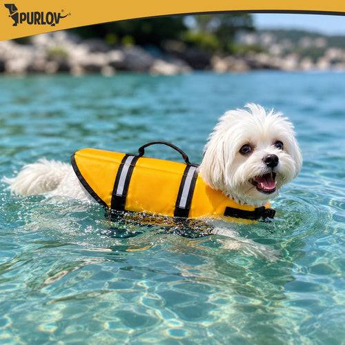 Gilet de sauvetage pour chien - Taille S Purlov - Image 3