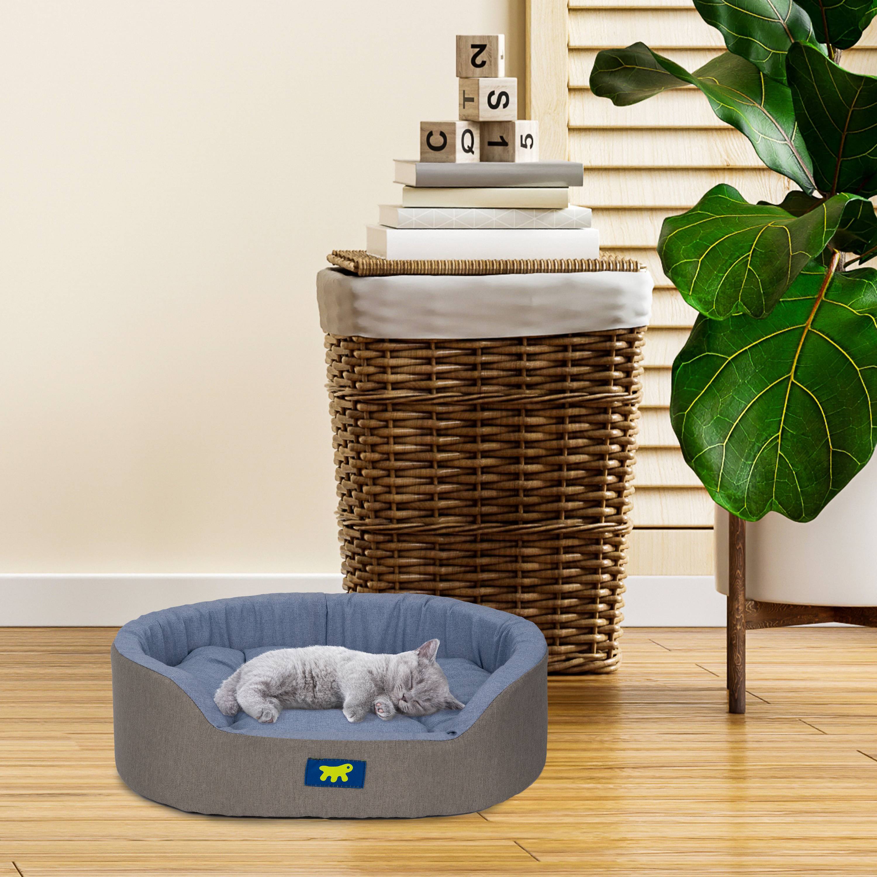 Ferplast - Ferplast Panier Chien Dandy, Coussin Amovible et Lavable, Housse en Coton avec Rembourrage Doux, Idéale Également comme Niche pour Chat, 55 x 41 x H - Image 3