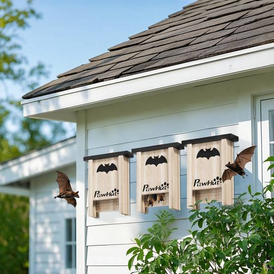 Lot 3 Nichoirs Chauve-Souris Bois Sapin Jardin Abri Météo Résistant Suspendu - ComfortXL Outdoor Living - Image 1