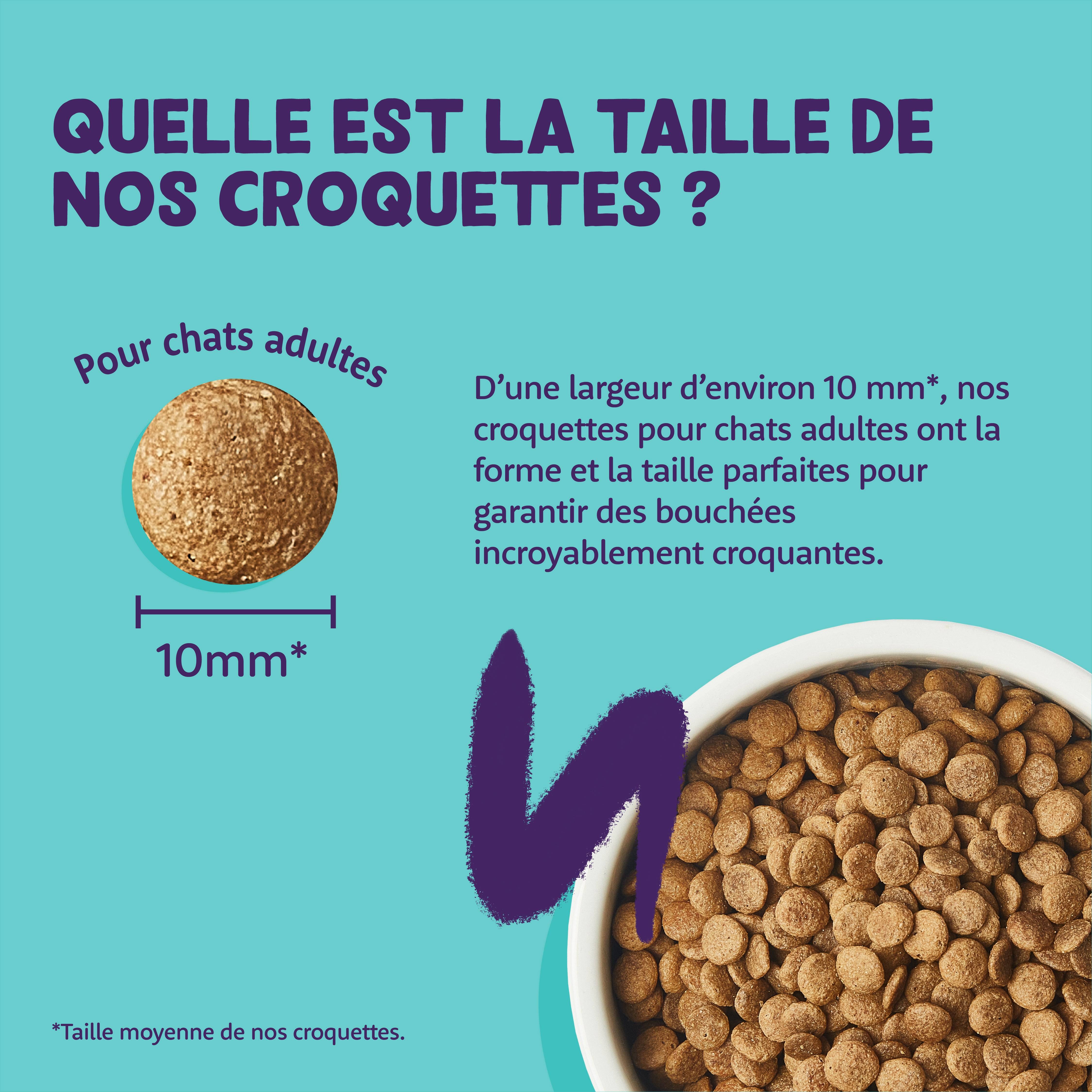 Edgard & Cooper - Edgard Cooper - Croquettes Sans Céréales au Poulet pour Chat - Image 4