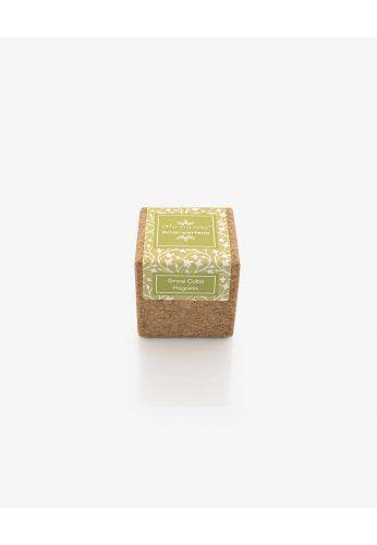 Life In A Bag - Life in a Bag - Grow Cube aimanté Pensée - Image 1