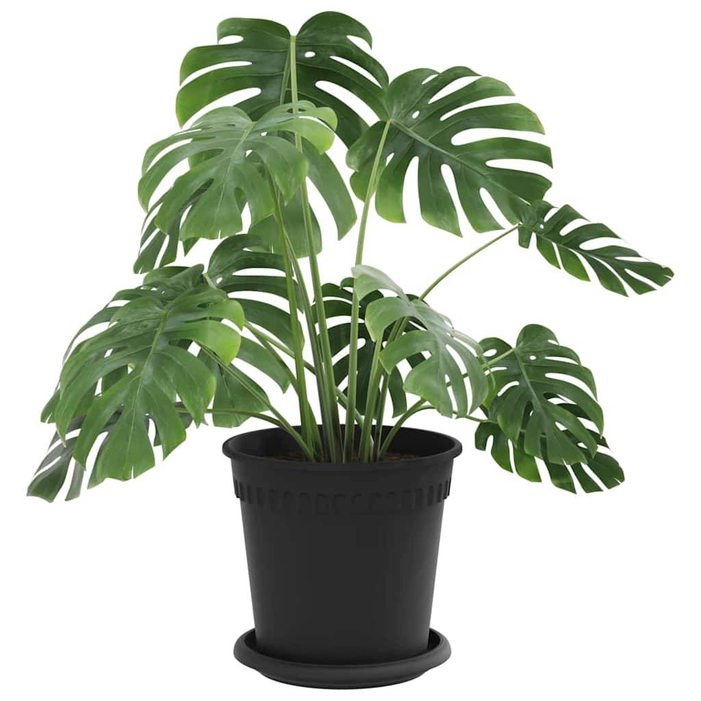 Vidaxl - Pots de plantes 24 pc Noir Plastique vidaXL 3403268 - Image 4
